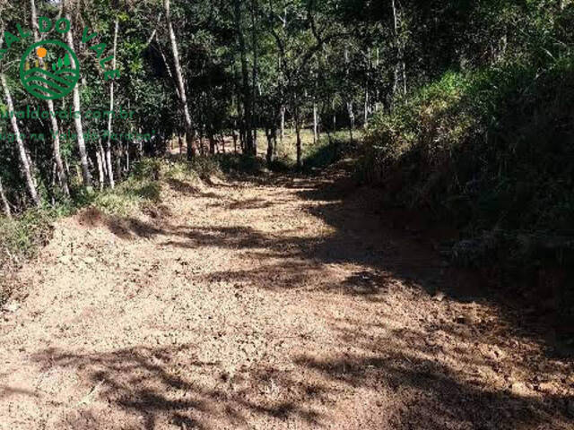 Área para Venda em Pindamonhangaba - 4